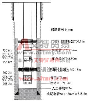 注气管柱结构示意图