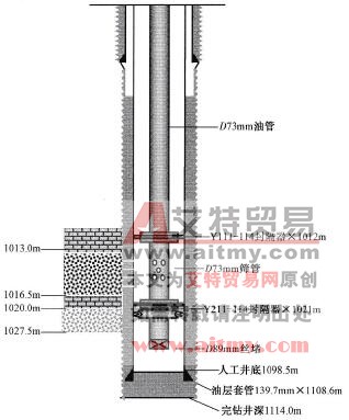 堵水施工井身结构示意图