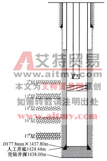  挤复合堵剂管柱示意图