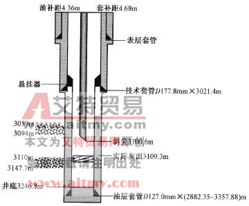 堵水施工井身结构示意图