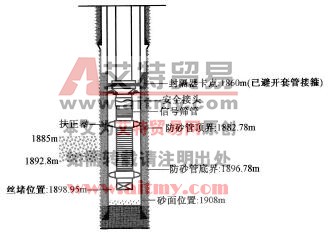 防砂管柱结构示意图