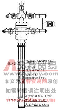 西10-7井分注管柱结构示意图